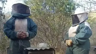 APIÁRIO BREJOS. 4° ALIMENTAÇÃO  COM A LINHA MELIPRÓ.