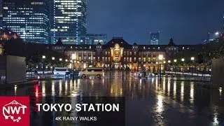 Rainy Night Walks In Tokyo - 4K/Osmo pocket