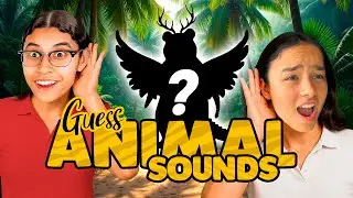 Can You Beat This IMPOSSIBLE Animal Sound Challenge with  @JennyHoyos  ?