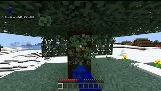 My new minecraft world
