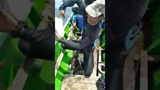 KASIHAN.. LUMBA LUMBA KECIL TERJERAT SAMPAH PLASTIK