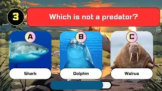 The Predator Animals? Except!