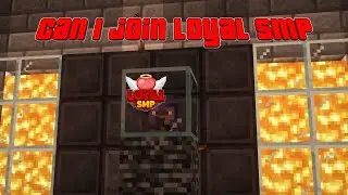 can I join loyal smp | loyal smp s3 application  #loyalsmpapplication #loyalsmp