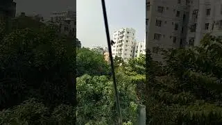 When Even Flies Having S3X 😅