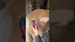 Le dijeron que tenía 2 meses... ¡Y luego hizo esto! 