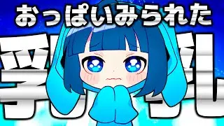 【悲報】胸を見られてしまう...【マリオカート8DX】