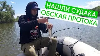ЛОВИМ СУДАКА НА ПРОТОКЕ ОБИ | Открытие на Оби 2021