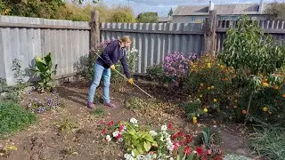 Убираем клумбу. Пумбе без разницы.