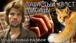 Пушистый хвост лисицы разбор на гитаре - Константин Ступин