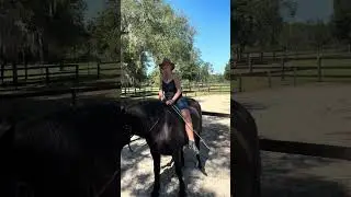 Riding Balanced Bitless & Bareback, Part III - Backing
