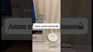Будет ли работать Яндекс станция Алиса в Польше? ☺️ ответ читай в 