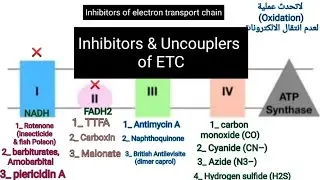 Inhibitors & Uncouplers of electron transport chain and oxidative phosphorylation #metabolism