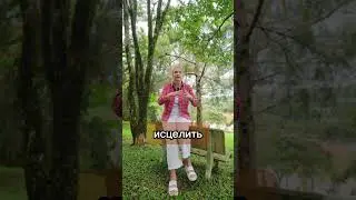 Старания заслужить любовь 