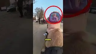 Questo cane va a prendere la bambina a scuola ogni giorno 😱