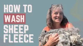 Sheep Fleece 101: A Beginner's Guide to Washing Raw Wool Fleece at Home
