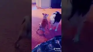 🤣😂😂😂😂😂