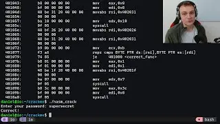 Reverse Engineering Pure Assembly