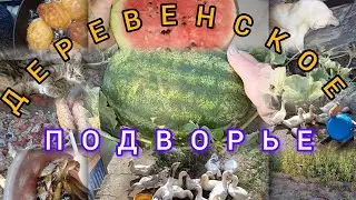 ДЕРЕВЕНСКОЕ ПОДВОРЬЕ