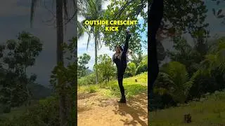 Triple kick + Outside Crescent Kick #shorts #wushu #kungfu