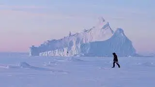Nikon Z8 Video