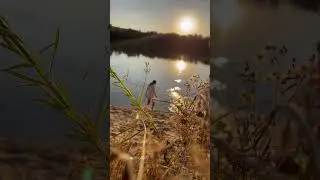 Мы похожи
