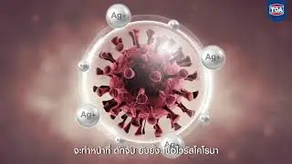 TOA DURACLEAN A+
