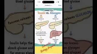 #biabetes #insulin #glucagon #biologyimpulse #ncert