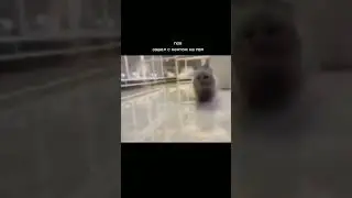 #видео #shrek #rust #memes #юмор #раст #прикол #edit #gta #мем
