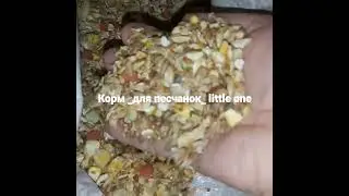 Лучший корм для песчанок Little One. Сбалансированный и рекомендованный заводчиками песчанок.