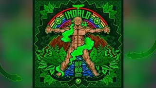 Savage Project - La Cumbia De Los Sinvergüenzas | Indalo