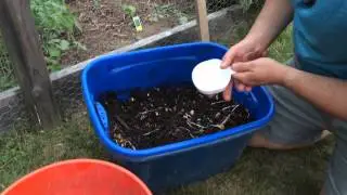 Worm Tea: The Ultimate Fertilizer