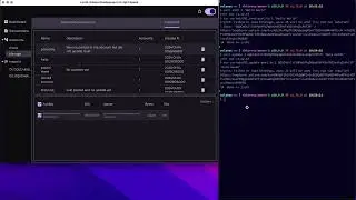 Luzid: Solana Test Validator on Steroids - First Prototype