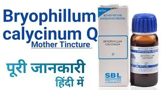 SBL Bryophyllum Calycinum Mother Tincture Medicine for Kidney Stones