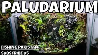 Homemade Paludarium: An Oasis of Nature's Beauty in Your Home