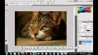 tutorial photoshop em português