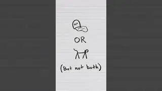 Schrödinger's cat explained 