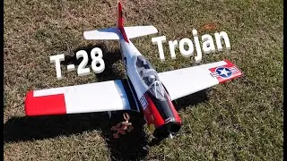 Eflite T28 Windy Goes For A Ride