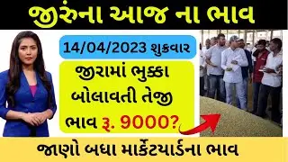 જીરા નો ભાવ 2023 | 14/04/2023 | Jeera no Bhav | Unjha Market Yard na Jeera na Bhav
