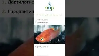 Костиоз (Ихтиободоз) #shorts