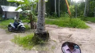 Jembatan pengingat dosa 😱