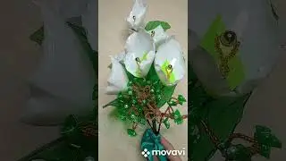 Спатифиллум 🥀 ПЭТ бутылки!