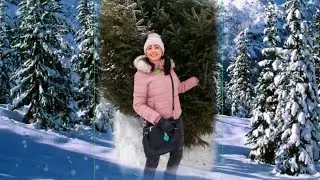 Ірина Хоменко  