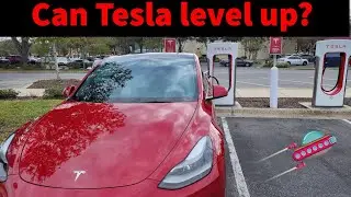 ROAD TRIP TESLA MODEL Y: Deja Vu brought on by a Beaver