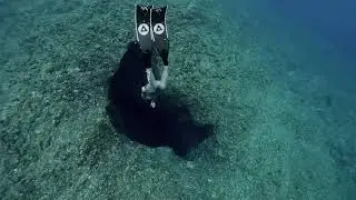 中之島ビーチでフリーダイビング