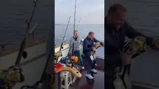 tuna orkinos sportfishing olta balik