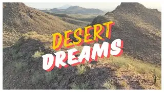 Desert Dreams
