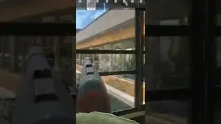 Escape from Tarkov - Highlights #eft #games #gaming #tarkov #tarkovshorts #побегизтаркова #тарков
