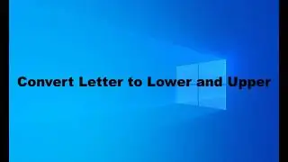 How to Convert Letter to Lower Upper using VB Net