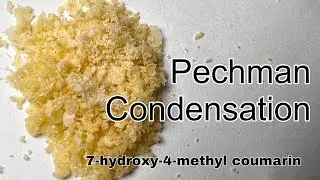 7-hydroxy-4-methyl coumarin : Organic Synthesis ( Pechman Condensation )
