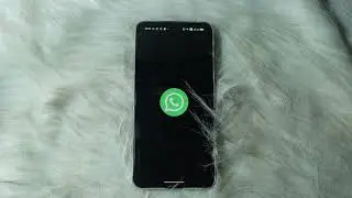 How to Turn Off WhatsApp Notifications in 2026 | Disable WhatsApp Alerts on Android & iPhone